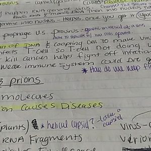 Meet your Posher, Julie